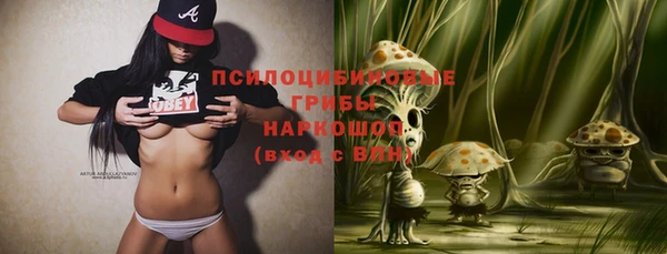 бошки Алзамай